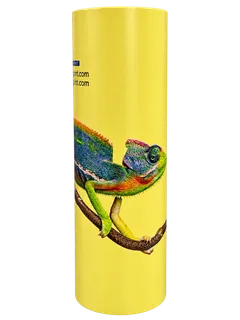 T21 decorated tube sample
